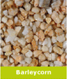 Barleycorn